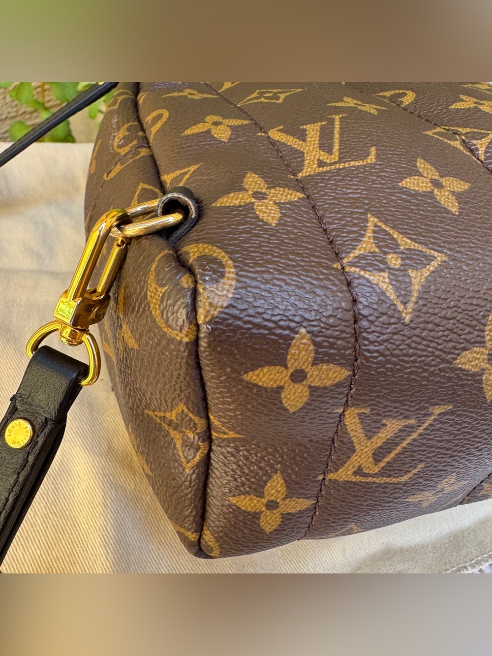 Louis Vuitton Monogram Mini Palm Springs Backpack - Picture 12 of 16